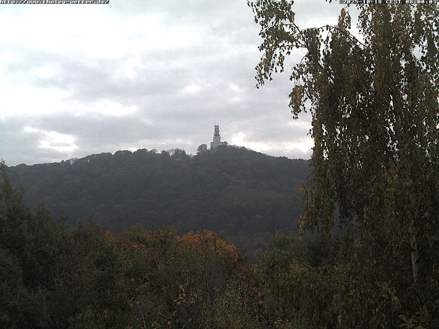 Webcam Stunde 8