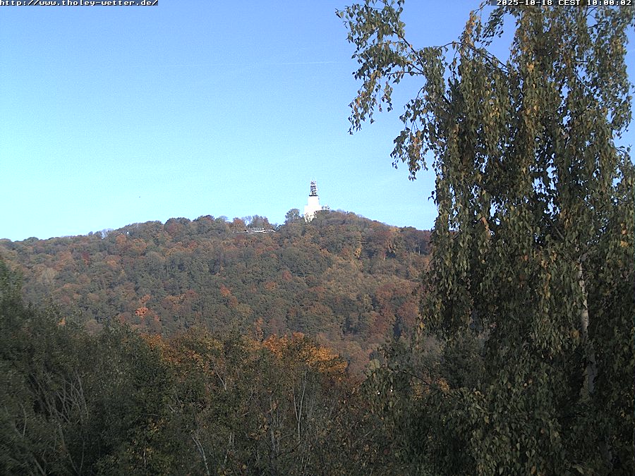 Webcam Stunde 10