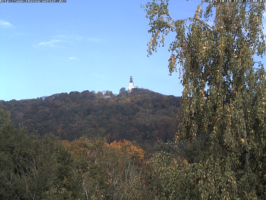 Webcam Stunde 11