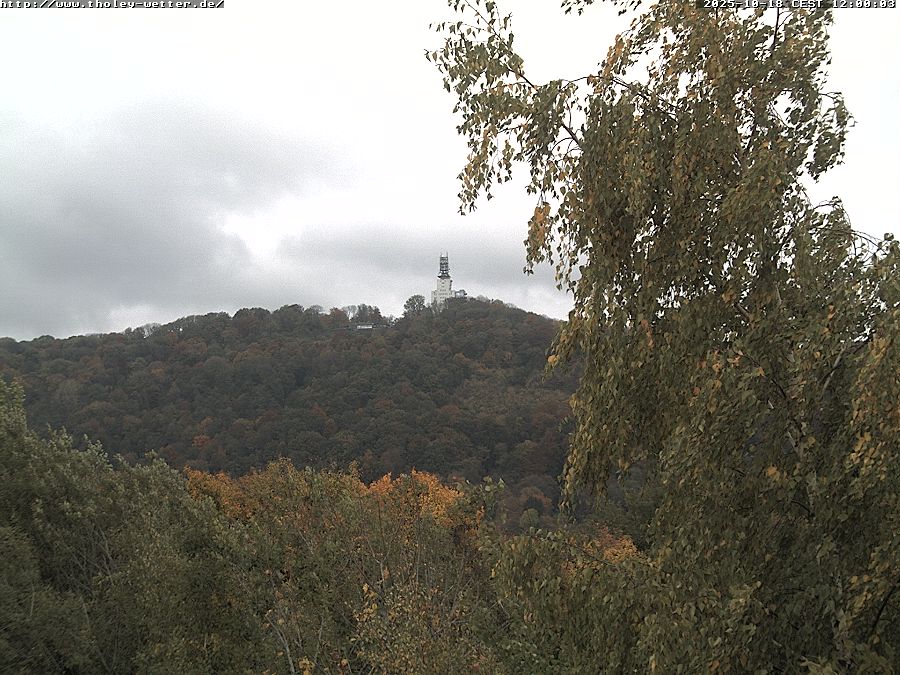 Webcam Stunde 12