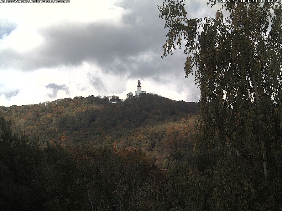 Webcam Stunde 13