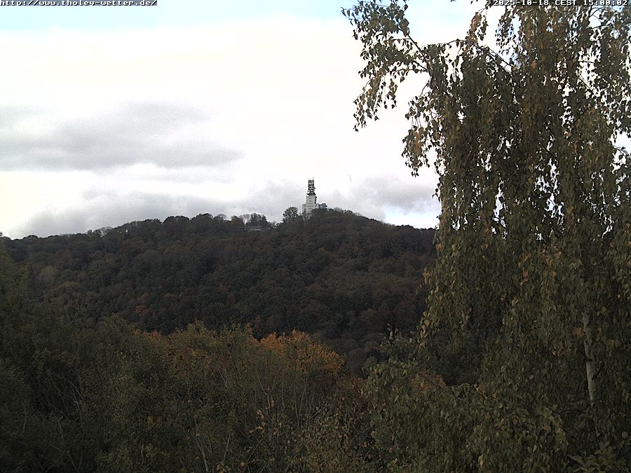 Webcam Stunde 15